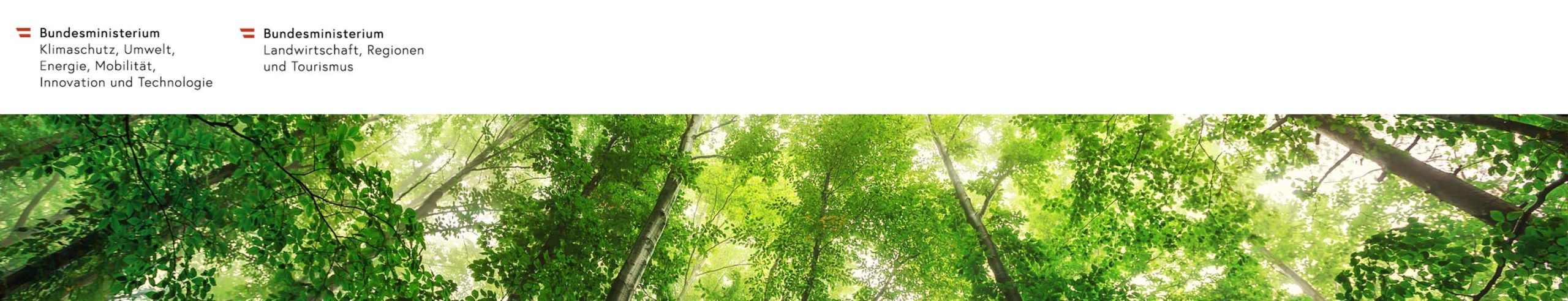 BMK_BMLRT_banner04